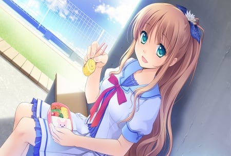 Cute Girl - lunch, cg, game, bento, girl, cute, long hair