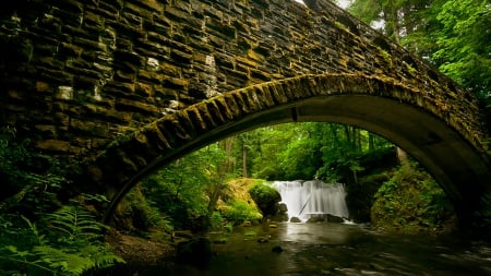 waterfall by a stone bridge in the forest - stone, waterfall, rever, forest, bridge