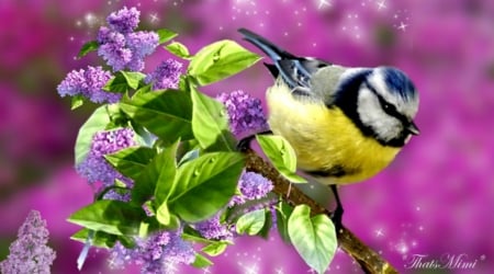 Yellow Bird - flowers, tree, nature, bird