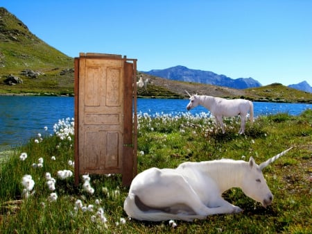 DOORWAY FANTASY - FANTASY, WHITE, DOORWAY, UNICORN