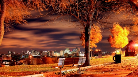 view from a park above nyc on an autumn night - trees, parl, autumn, bench, city, night, light