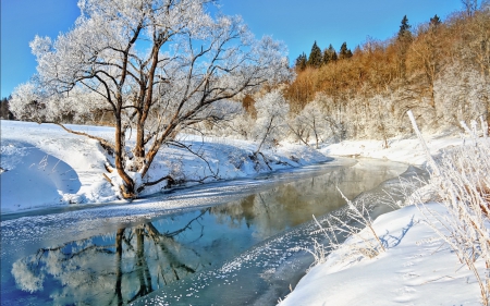 *** Winter river *** - winter, nature, snow, river