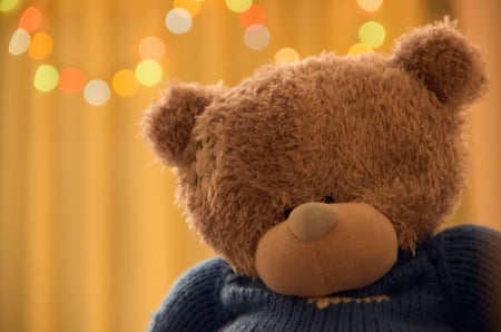 Teddy bear - photo, toy, teddy bear, tear