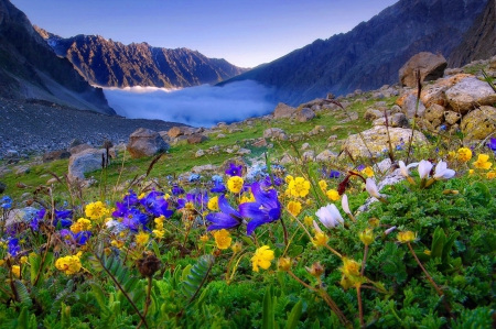 Mountainscape - pretty, hills, summer, blue, grass, mountain, flowers, view, mist, cliffs, lake, nice, sky, mountainscape, beautiful, slope, lovely, harmony, wildflowers, colorful, nature, rocks