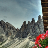 deer head on a lodge in the alps hdr