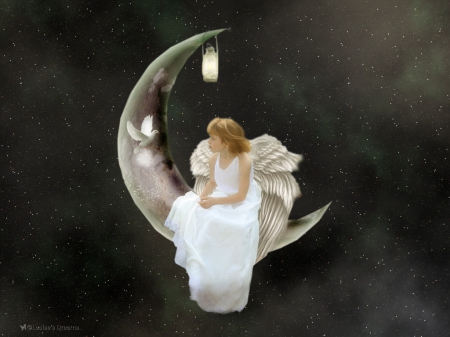 the lunar angel