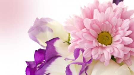 Flowers on Your Desk - lavender, summer, spring, pink, bouquet, flowers, purple, design, floral, gerbera