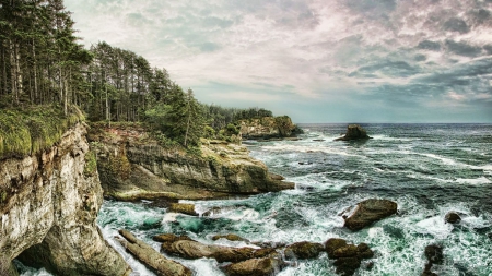 forest on a rugged sea coast hdr - forest, rocks, cliffs, coast, sea, hdr