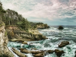 forest on a rugged sea coast hdr