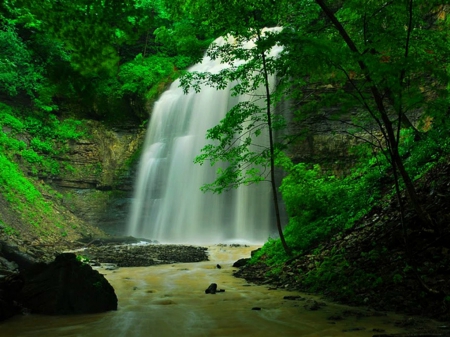 Tiffany Falls, Ontario, Canada - nature, trees, waterfall, rocks