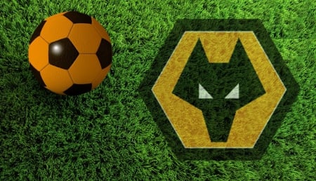 Wolves Pitch - wolverhampton wanderers, wwfc, wolverhampton, ball, wolves, england, football, fc, pitch, wanderers, screensaver, soccer, wallpaper