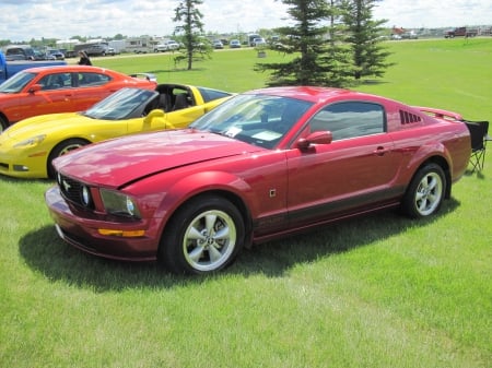 2007 Ford Mustang - yellow, photography, red, orange, ford