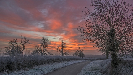 frosty road at a beautiful sunset - fields, trees, frost, clouds, sunset, road