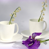 *** Flowers in the cups ***