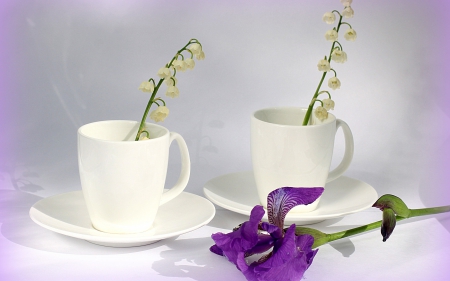 *** Flowers in the cups *** - white, flower, flowers, cups, nature