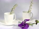 *** Flowers in the cups ***