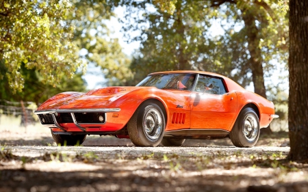 chevrolet corvette 1969 - car, chevrolet, 1969, corvette