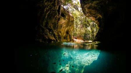 Cave - fish, water, mount, cave