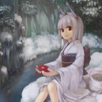 Snow Fox
