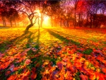 Sunrise in autumn