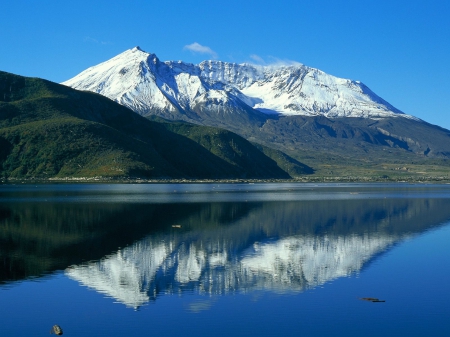 Mount St. Helens & Spirit Lake, Washington - lake, trees, nature, mountain