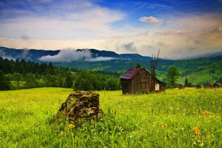 Mountain huts - summer, beautiful, village, cottage, cabin, grass, mountainscape, nature, mountain, huts, greenery, meadow, pretty, flowers, serenity, peaceful, sky, calmness, nice, lovely, house, green