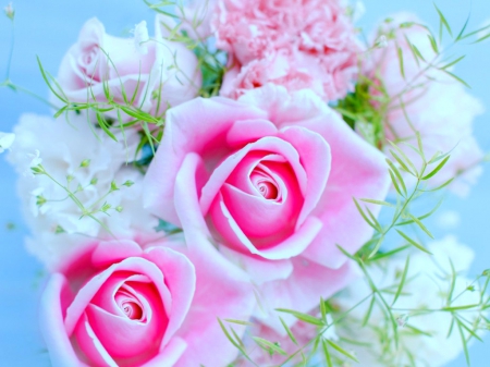 Pink rose - roses, flowers, petals, pink