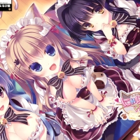 Nyan Sweety Cafe