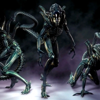 Xenomorphs