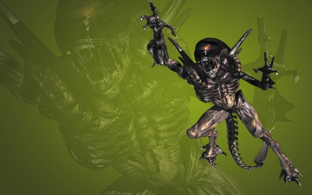 xenomorph - xenomorph, space, space killer, alien