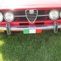 1971 Alfa Romeo logo