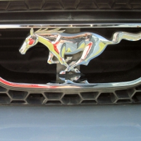 2003 Ford Mustang Logo