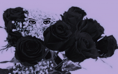 unforgettable - flowers, roses, nature, black