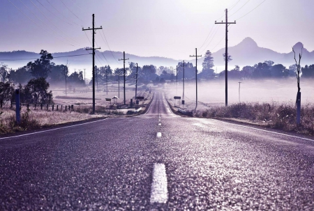 Violet  Trip - roads, journey, fog, streets, mist, violet