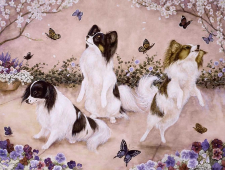 PAPILLION - THREE, DOGS, PAPILLIONS, WALLPAPER