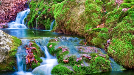 wonderful cascading stream in autumn - autumn, stream, leaves, cascade, moss, rocks