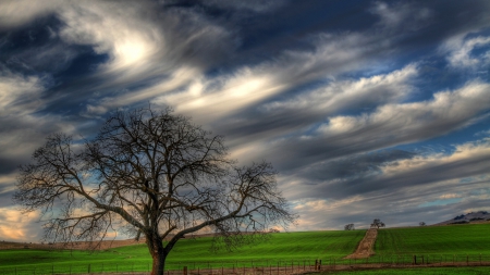 gorgeous sky over green fields - clouds, fields, road, fence, tree, sky