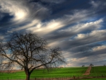 gorgeous sky over green fields