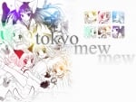 tokyo mew mew