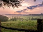 wonderful farms in the valley in morning mist