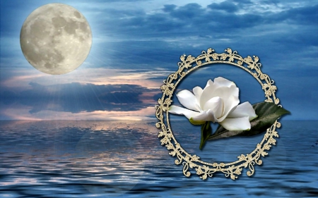 Moon Beams 1 - moon, sky, ocean, photography, beams, gardenia, photo manipulation, photo, flower