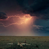 Africa Plains Lightning Storm