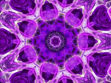 â™¥ Purple Roses Kaleidoskope â™¥ - purple, violet, kaleidoscope, mind teaser, abstract, art