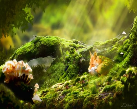 Sleeping Fox - fox, webs, mushrooms, moss