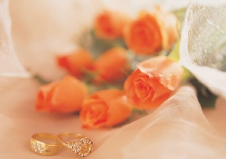 ♥ Forever Love ♥ - flowers, roses, rings, love, still life