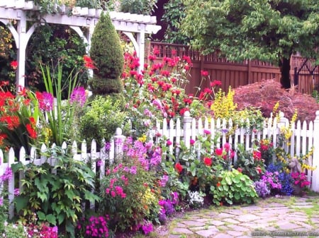 Charming garden - flowers, fence, nature, garden