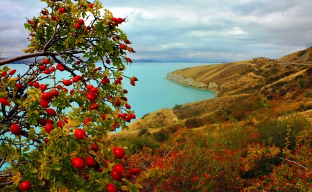 Lake view - nice, valley, slope, sky, trees, water, view, pretty, river, grass, lake, hills, summer, shore, lovely, nature, blue, beautiful, flowers