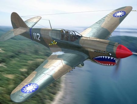 Flying Tiger - aircraft, p40, warhawk, warbird