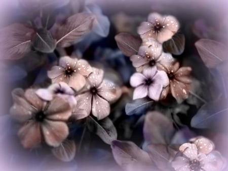 FANTASY FLOWERS - flowers, lovely flowers, fantasy, vintage, cool, fantasy art, old fashion