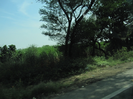 On the roadside - Greenery, Hill Station, Nature, Paths